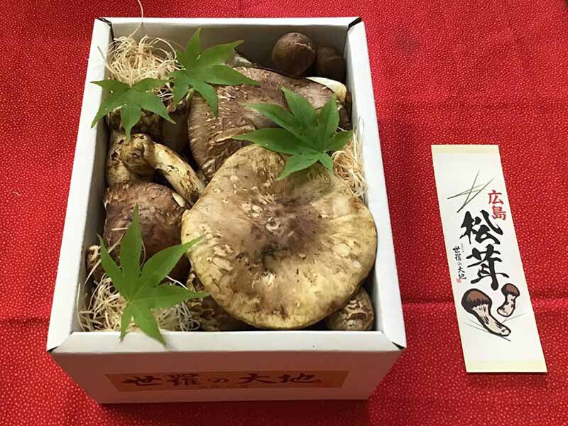 松茸の徳の写真