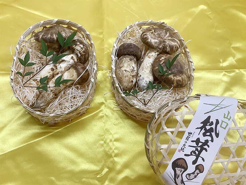 無選別12,000円の写真