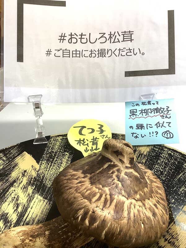 おもしろ松茸の写真