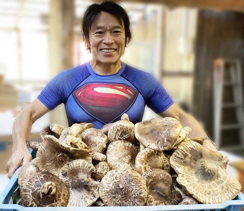 世羅の大地 国産松茸販売センターは鮮度の良い国産の松茸をお届けします