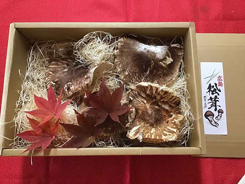 松茸の慶の写真
