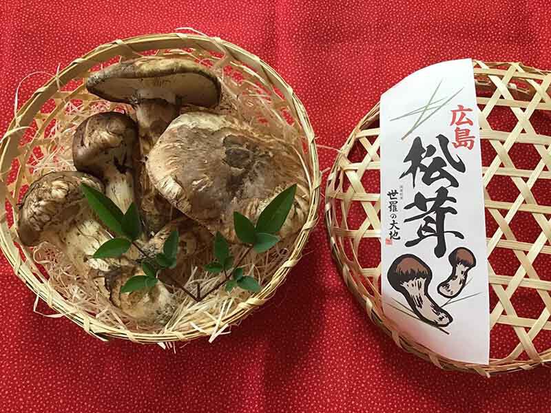 無選別12,000円の写真