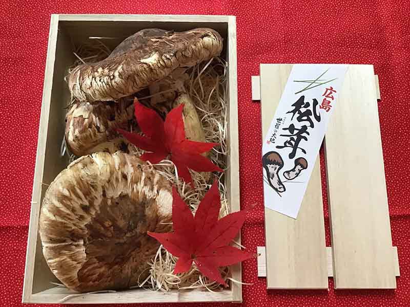 11月からの贈り物50,000円の写真