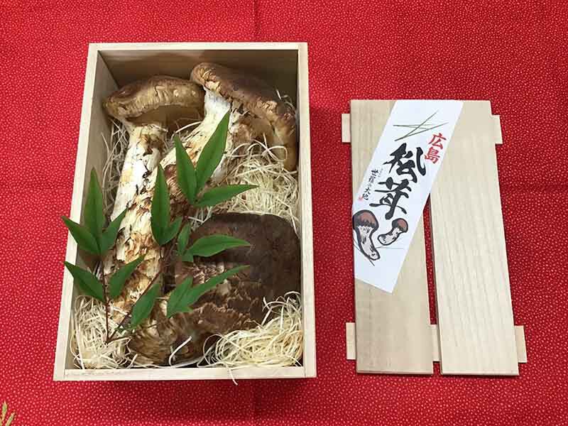 無選別33,000円の写真