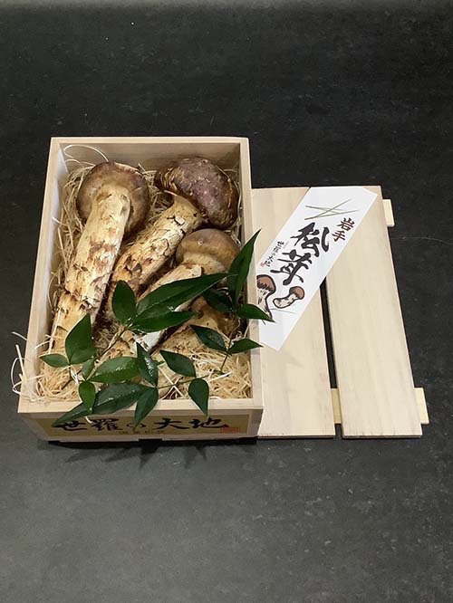 松茸の松