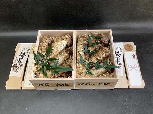 松茸の銀 企業様のご依頼