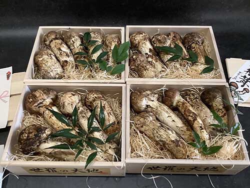 松茸の竹 企業様のご依頼