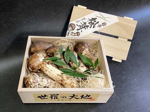 晩秋の国産松茸250g