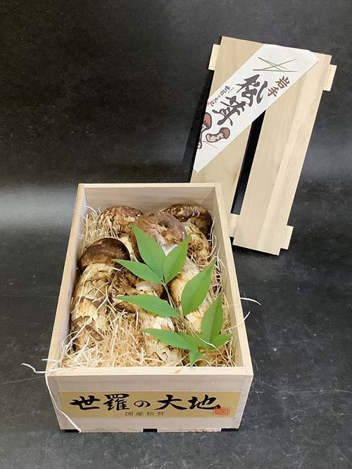 晩秋の国産松茸300g
