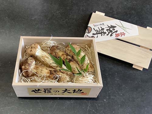 秋の名残の国産松茸150g