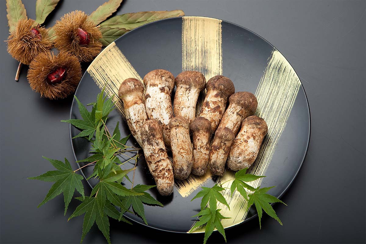 国産松茸のご購入 通販でもお求めいただけます 国産松茸のご購入 通販でもお求めいただけます