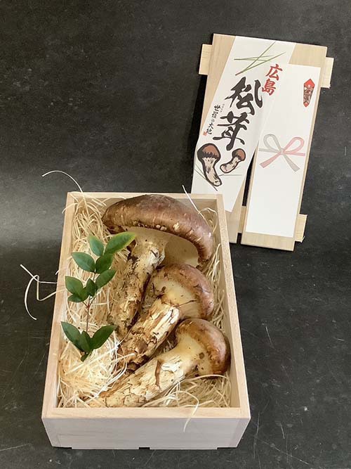 松茸の写真 国産松茸販売センター
