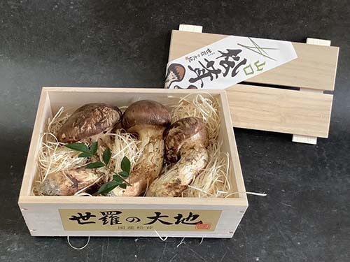 国産松茸のお歳暮150g