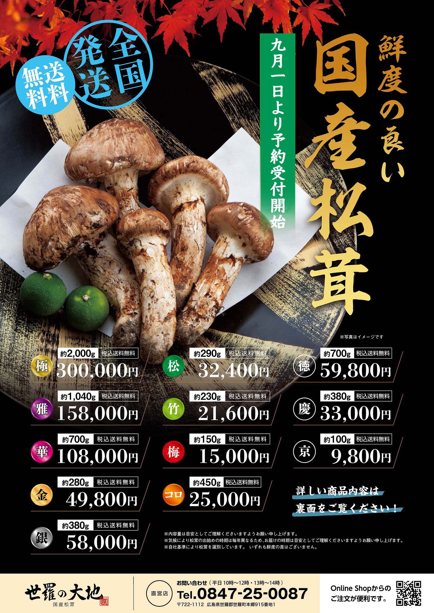 2025年国産松茸価格表の表