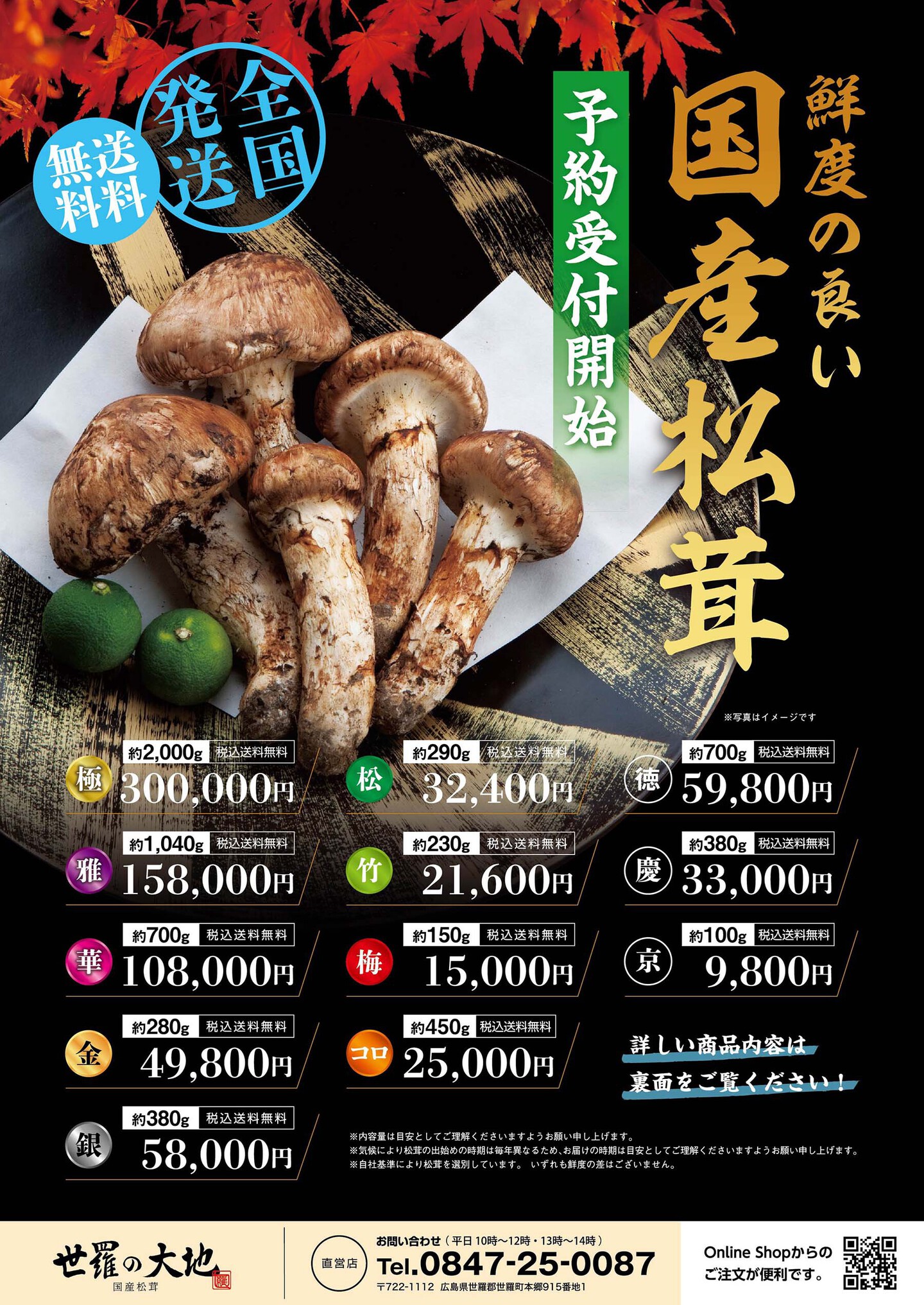 広島県産松茸 325g 【公式通販】