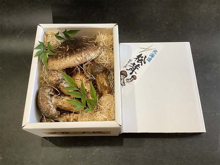 国産松茸の慶