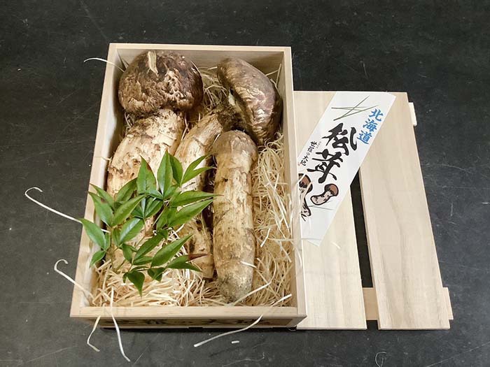 松茸の松