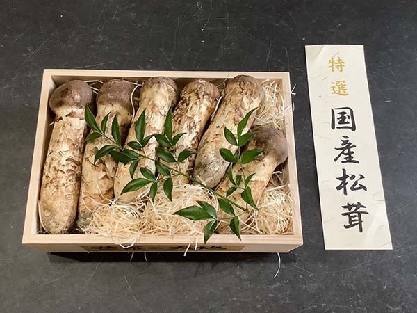 国産松茸の金