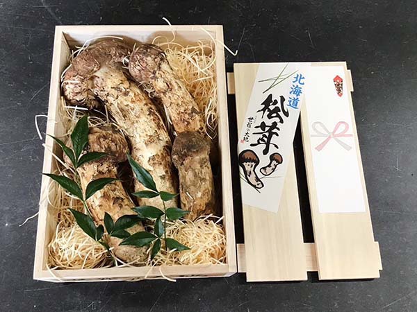国産松茸の松