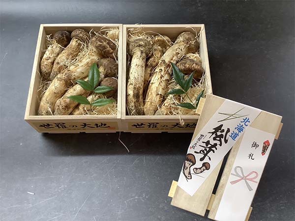 国産松茸の竹