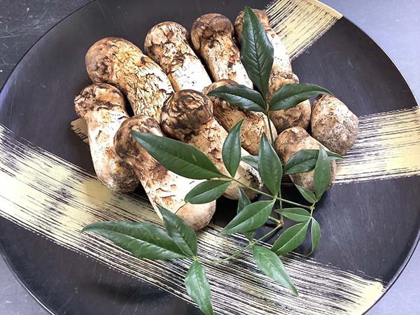 岩手県産初入荷