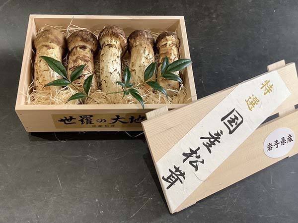 国産松茸の金
