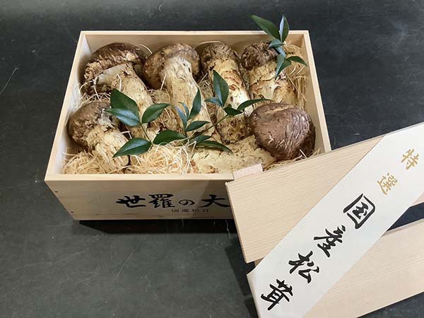 国産松茸の華