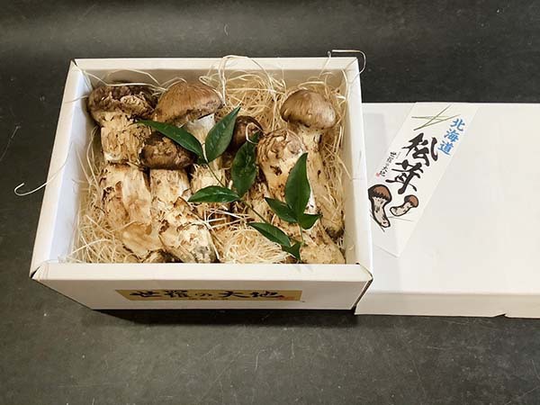 国産松茸の慶