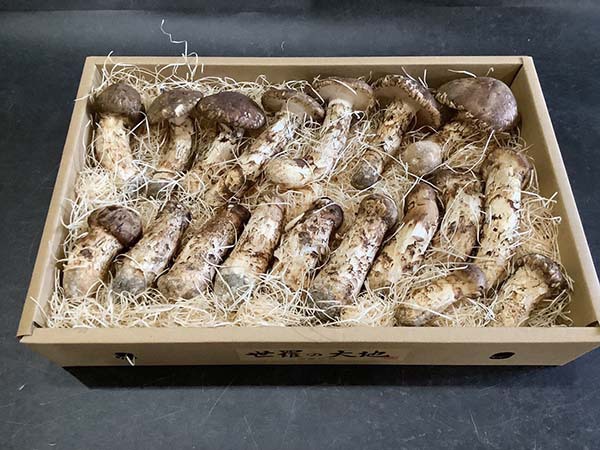 飲食店さまのご依頼 ひらきとキズ 慶