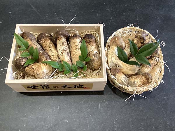 国産松茸の梅と京