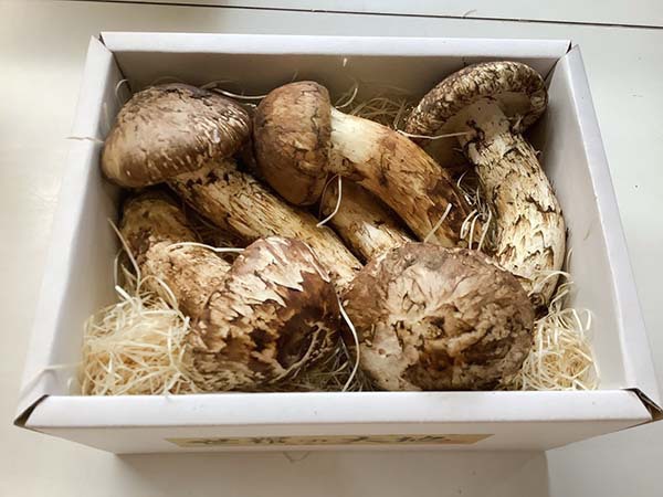 飲食店様からのご依頼 ひらき70g〜80g 5本