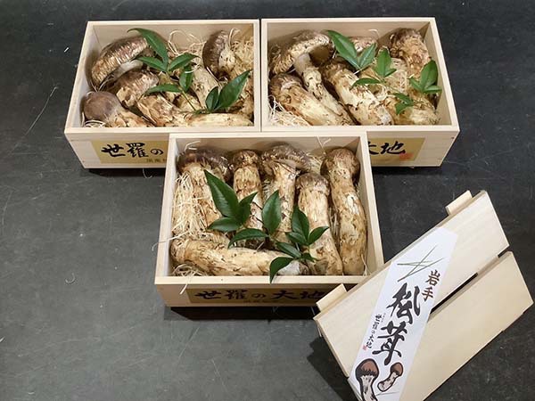 飲食店様からのご依頼　竹3箱