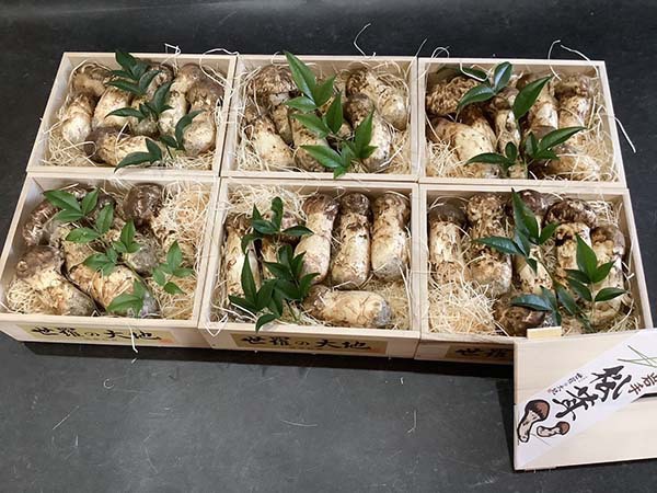 企業様からのご依頼　竹6箱