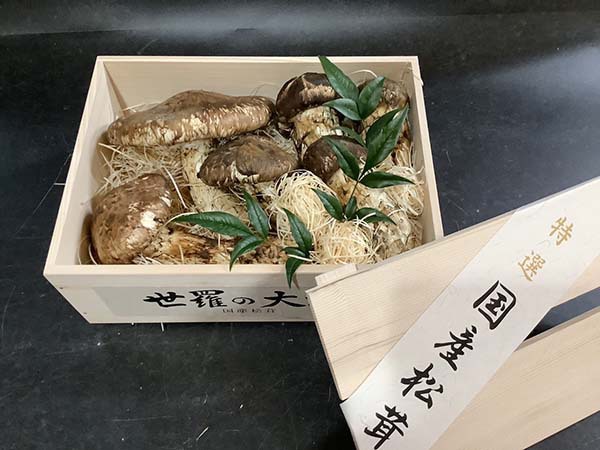 国産松茸の華