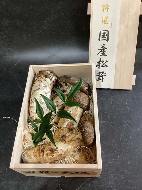 国産松茸の銀