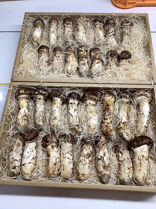 業者様からのご依頼