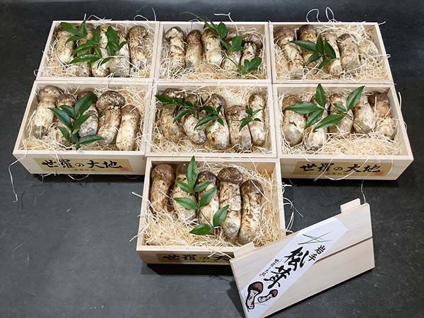 企業様からのご依頼　竹7箱