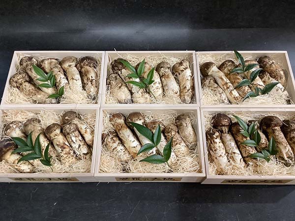 企業様からのご依頼　松6箱