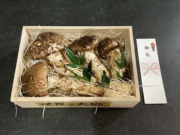 国産松茸の松