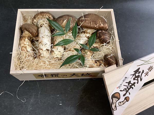 国産松茸の松