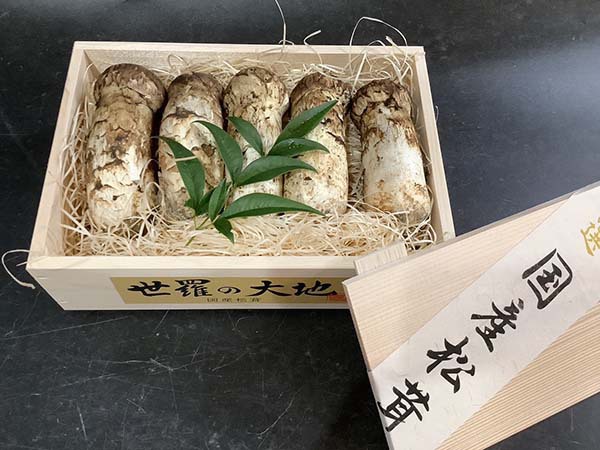国産松茸の金