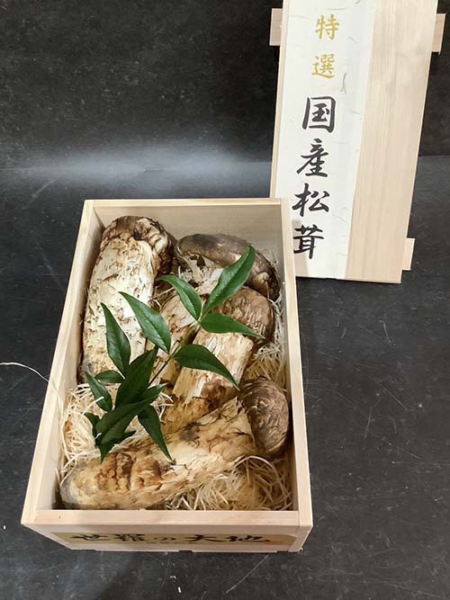 国産松茸の銀