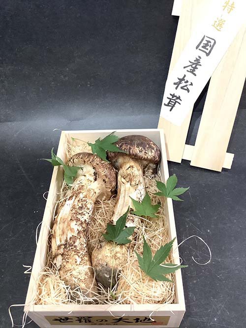 1本250gのつぼみ