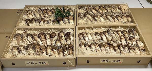 飲食店さま30g、40g、50g、キズのご依頼