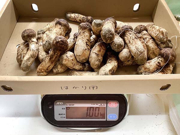 百貨店さま1kgのご依頼