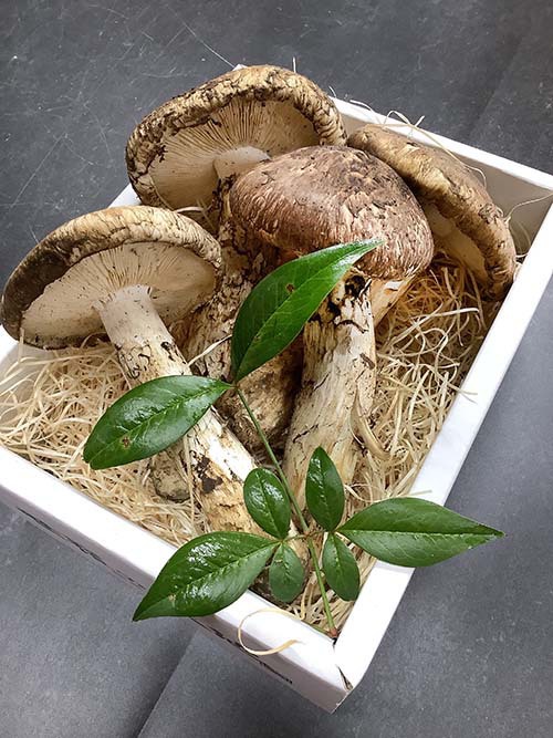 秋の名残りひらき350g