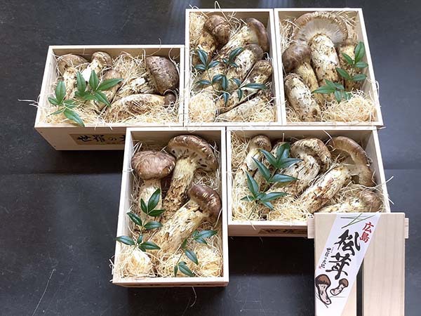 企業様景品　松　5件分