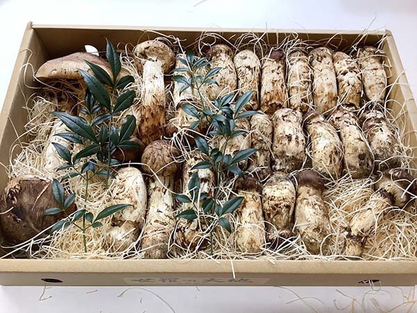 兵庫県 飲食店様