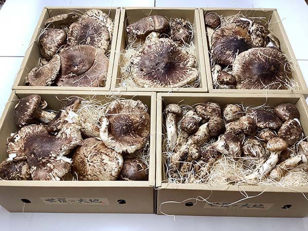 奈良県 飲食店様