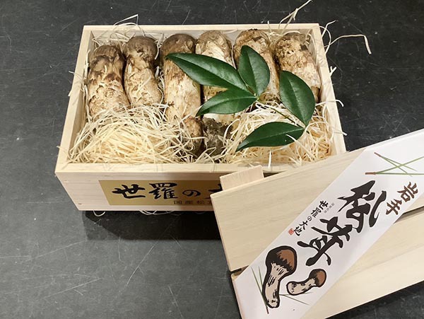 梅